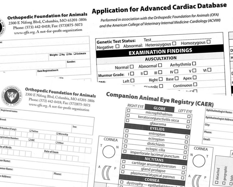 O.F.A. Health Testing